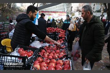 دوازدهمین جشنواره انار  12