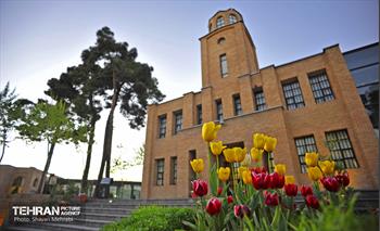 Ghasr Museum Garden / Shayan Mehrabi