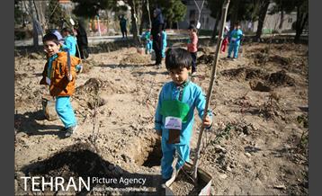 غرس نهال در بوستان بهاران 12