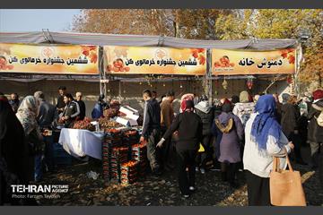 ششمین جشنواره خرمالو 19
