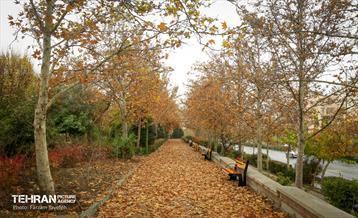 گذرگاه های پاییزی پایتخت - منطقه 5