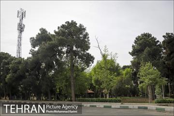 بازدید شهردار منطقه 16 از بوستان های شاخص منطقه در روز طبیعت 2