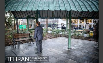 پارک شهر بعد از یک صبح بارانی 1