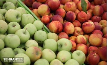 آیین افتتاح ۸ میدان میوه و تره بار سازمان میادین شهرداری 10