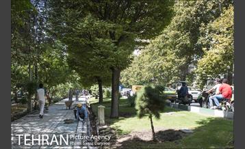 بازسازی سنگ فرش های بلوار کشاورز‎ 9