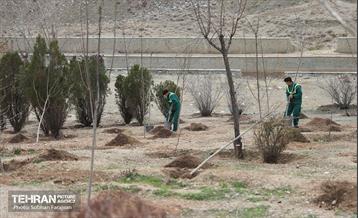 آئین غرس درخت به پاسداشت شهدای منطقه ۵ 38