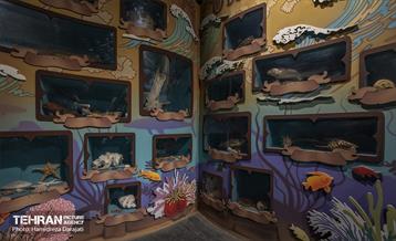 اقیانوس پارک  6