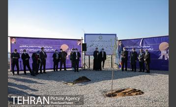 بازدید و افتتاح پروژه جنگل کاری 1000هکتاری در بوستان جنگلی تلو 25