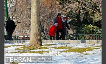 فصل زمستان در بوستان ملت 25
