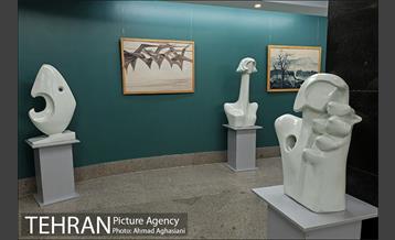 موزه دکترامیراسماعیل سندوزی 12