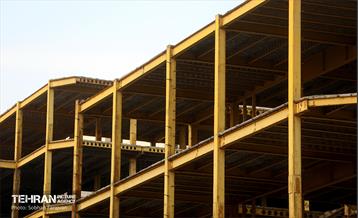 رها شدگان شهر 24