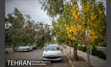 پاییز زیبای پایتخت- 3