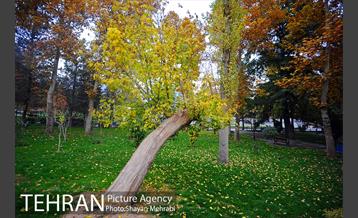 پاییز در بوستان ملت 7