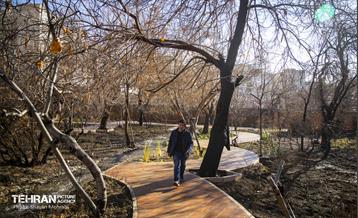 باغ گلاریس 25