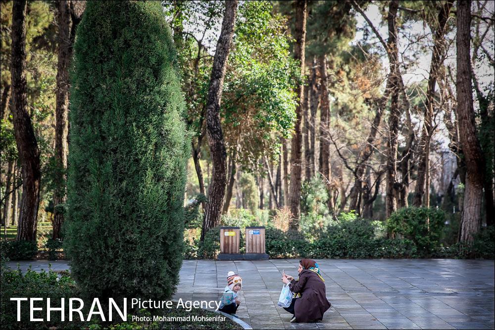 | ویدئو | تهران بعد از بارندگی