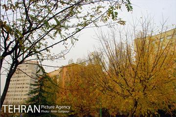 بوستان پارسیان 7