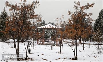 روز برفی در بوستان جنگلی سرخه‌حصار 1