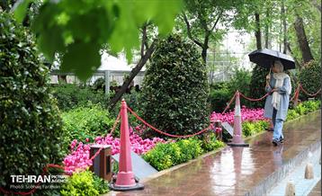لاله‌ها میهمان باغ ایرانی 37
