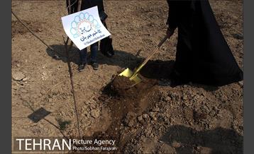 کاشت نهال در بوستان ولایت  36