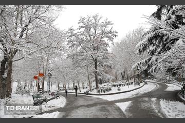 صبح برفی بوستان ملت 16