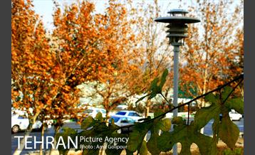 شهرک لاله 10