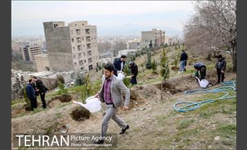 آیین غرس پنچ هزار اصله نهال در اراضی جنگل لویزان 36