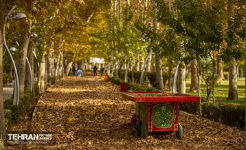 سمفونی رنگ های پاییزی - پارک لاله 17