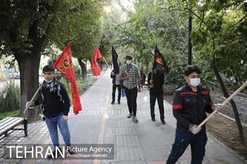 دسته عزاداری دمام زنی در بلوار کشاورز 5