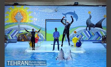 دلفیناریوم برج میلاد 25