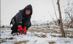 روز برفی در آبشار تهران 14