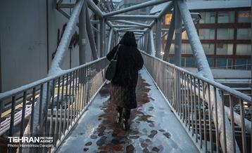 بارش برف زمستانی در شمیران  4