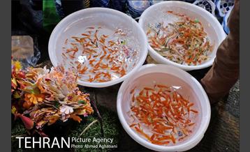 خرید شب عید، بازار تجریش 11