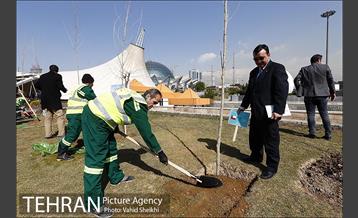 آیین کاشت درخت صلح و دوستی 40