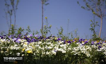 هوای بهاری منطقه 5 37