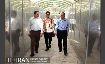 تهرانگردی احمد مسجدجامعی در منطقه یازده‎ 2