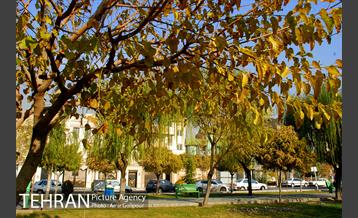 بوستان بنفشه 3