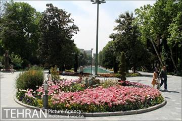 لاله های بهاری پارک شهر 18