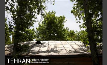 تهران قدیم؛ با‌م‌هایی که دیگر نیست 17