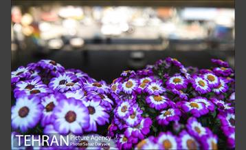 گل آرایی پل سیدخندان 18