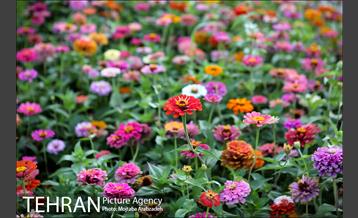 پلازای شهری میدان هفتم تیر 7