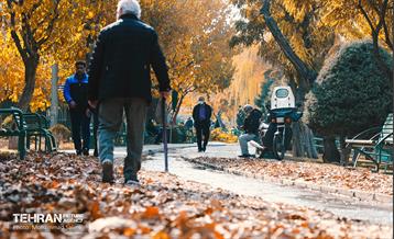 گذرگاه های پاییزی پایتخت - منطقه 9