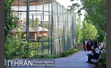 باغ پرندگان تهران 10