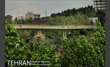 پل جدید بوستان آب و آتش 23