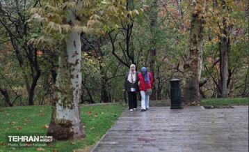 بازدید دانشجویان خارجی از مجموعه فرهنگی تاریخی سعدآباد 30