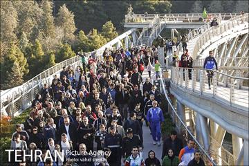 همایش بزرگ پیاده روی خانوادگی شهرداری تهران  17