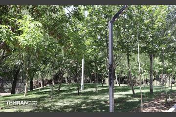 افتتاح بوستان ملل در منطقه ۳ 12