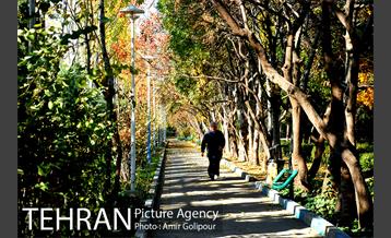 شهرک صدرا 29