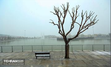 پل طبیعت سپیدپوش شد 4