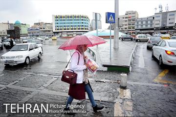 بارش باران بهاری در تهران 22