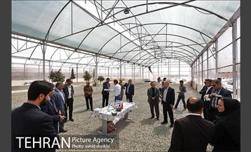 بازدید مدیر کل دفتر شهردار تهران از منطقه 21 31